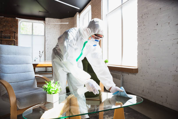 Professional Mold Removal in Reynoldsville, PA